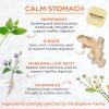 Bigelow Tea Benefits Calm Stomach Ginger Peach Herbal Tea, Caffeine Free, 18 Count (Pack of 6), 108 Total Tea Bags view 4