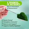 MAJU's Organic Spirulina Powder .5 lb, Microcystin Free, Non-Irradiated, Preferred to Chlorella, Preferred to Hawaiian & Blue Algae, Pure Vegan Green Protein view 3