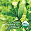 Allegro Tea, Organic Happy Tummy Tea Bags, 20 ct view 2
