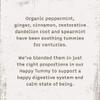 Allegro Tea, Organic Happy Tummy Tea Bags, 20 ct view 3