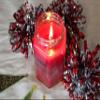 3 Pack - Merry Mistletoe Scented Blended Soy Christmas Candle | Fragrant Blend of Citrus, Blue Spruce and Frosted Cranberries | Hand Poured in The USA by Just Makes Scents view 3