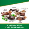 Russell Stover Sugar Free Assorted Chocolates Gusset Bag, 1.1 Pound (Pack of 1) view 2