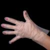 Daxwell Food Safe Stretch Poly Gloves (Large, 1,000 Count) Non-Latex, Disposable, Food Handling Use, Powder Free, F10000223, White view 4