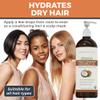 Viva Naturals Organic Fractionated Coconut Oil, 16 fl oz  Skin & Hair Moisturizer, Massage Oil, Carrier Oil for Essential Oils view 4