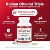 HealFast Post Surgery & Injury Recovery Supplement - Supports Healing, Scar Treatment & Bruising - BBL Post-Op Support for Surgery Recovery view 3