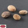 Spicy World Whole Nutmeg Indian Spice, 3.5 Ounce view 3