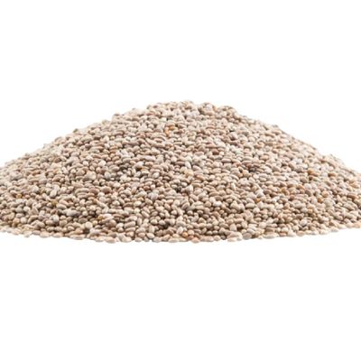 Gerbs Raw White Chia Seeds 2 lbs. | Small-Batch Packed in Resealable Bag, No Artificial Additives | Mildly Nutty Flavor, Ideal for Yogurt, Oatmeal & Baking | Top 14 Allergen-Free