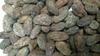 1 lb BOLIVIA ALTO BENI, HEIRLOOM, ORGANIC RAW CACAO/COCOA BEANS view 3