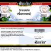 Bianca Rosa Grindelia (Gumweed) - Salve Ointment (2 oz, ZIN: 515125) view 3