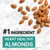 KIND Nut Bars, Dark Chocolate Mint, Healthy Snacks, Gluten Free, Low Sugar, 5g Protein, 12 Count view 3