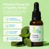 Uncle Harry's Natural & Fluoride-Free Remineralization Liquid for Tooth Enamel - Freshens Breath & Strengthens Teeth (1 oz Glass Dropper) view 2