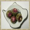 1000 Day Flower Artisan Green Tea ~ 15 Blossoms view 1