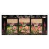 Alaska Alaskan Black Wildflower Tea Sampler 18c ct 3 Flavors view 1