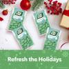 Tic Tac Wintergreen Breath Mints, Bulk 12 Pack, On-The-Go Refreshment, 1 Oz Each view 2