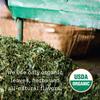 Allegro Tea, Organic Decaf Black Tea Bags, 20 ct view 2