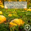 Gerbs Raw Whole Pumpkin Seeds 1 lb. | In-Shell, 10.5 mm Size, Resealable Bag | Mildly Nutty & Crunchy | Top 14 Allergen-Free view 3