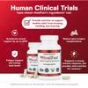 HealFast Complete Surgery & Injury Recovery Supplement: for Wound, Scar Treatment & Bruising w/Vitamins, Bromelain, Quercetin & Probiotics (Pre+Post Op) view 3