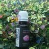Pink Lotus Essential Oils ~ Pure Natural Aromatherapy Massage Oil - Therapeutic Grade - 100% Natural Incense - Pure Essential Oil (15 ml) view 1