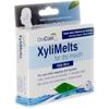 Xylimelts Xylimelts Mint 40 Ct view 3