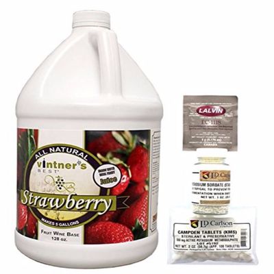 Complete Fruit Wine Base-Strawberry