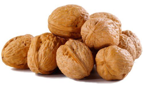 In-Shell Premium Walnuts - 5 Pounds