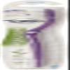 Tom's of Maine Adult Dye Free Toothbrush Soft Bristles, 1 Count (Pack of 1) view 1