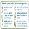 Tom's of Maine Adult Dye Free Toothbrush Soft Bristles, 1 Count (Pack of 1) view 3