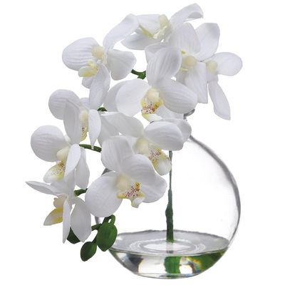 SilksAreForever 10" Phalaenopsis Orchid Silk Flower Arrangement -Cream (Pack of 8)