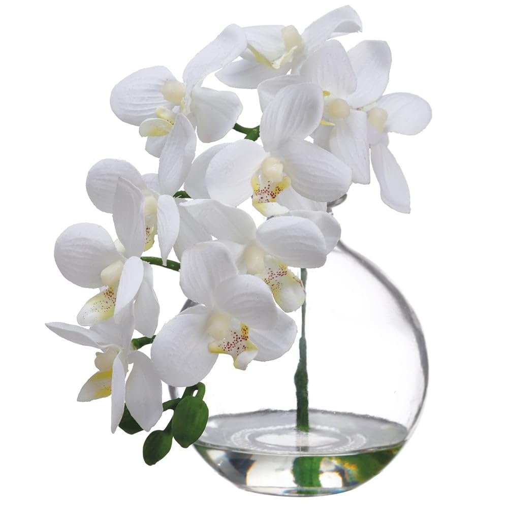 SilksAreForever 10" Phalaenopsis Orchid Silk Flower Arrangement -Cream (Pack of 8)