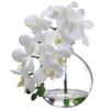 SilksAreForever 10" Phalaenopsis Orchid Silk Flower Arrangement -Cream (Pack of 8) view 1