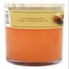 TERRA ESSENTIAL SCENTS L Candle Seasonal Orange, 12 OZ view 3