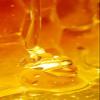 Women's - Honeywood Scented Pheromone Oil (Roll On) view 2