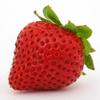 Women's - Strawberry Scented Pheromone Oil (Roll On) view 3