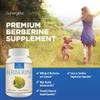 Sunergetic Premium Berberine Supplement - 1200mg Per Serving - Berberine HCL Supplement Non-GMO - Immune Support- 60 Capsules view 4