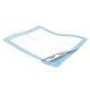 Kendall Product # 1038 - UNDERPAD 23X24 200CS (ADC Offered Unit is Case) view 1