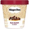 Haagen-Dazs, Rum Raisin Ice Cream, Pint (8 Count) view 1
