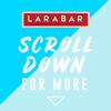Larabar Variety Pack, Gluten Free Vegan Fruit & Nut Bars, 1.7 oz, 16 ct view 4