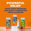 Zicam Extreme Congestion Relief No-Drip Nasal Spray with Soothing Aloe Vera, 0.5 oz view 2