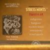 Historical Remedies Stress Mints (1 Pack) | Homeopathic Lozenges to Aid Stress & Digestion, Organic Peppermint Flavor, Vegan & Gluten-Free, Non-Habit Forming view 4