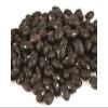 Beans, Black Turtle, USA, 25# Bulk view 1