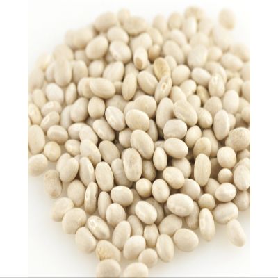 Navy Beans, Organic, 25# (25 lb.) Bulk