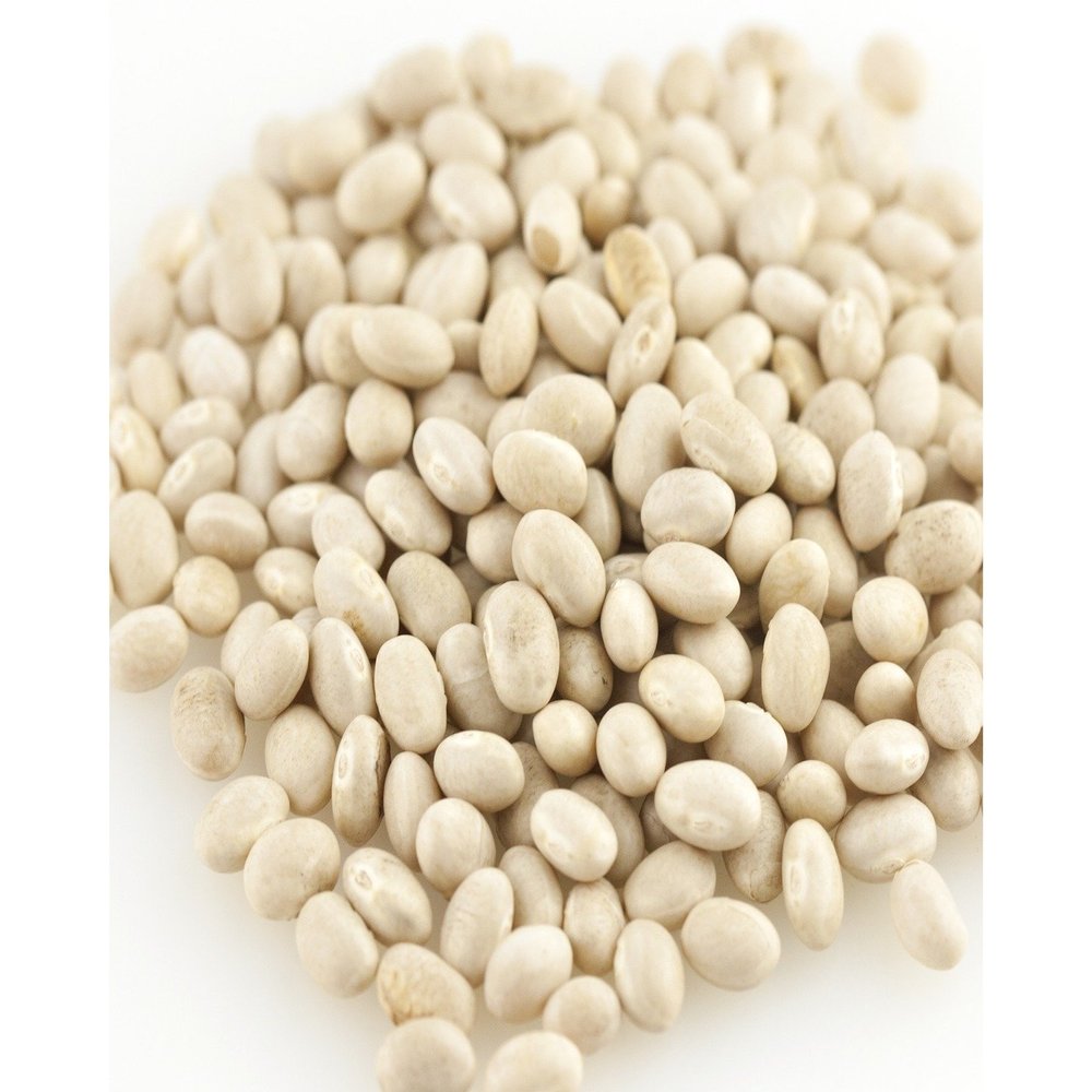 Navy Beans, Organic, 25# (25 lb.) Bulk