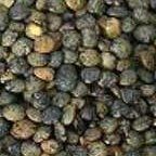 Lentils French Green Organic 25 lbs.