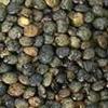 Lentils French Green Organic 25 lbs. view 1