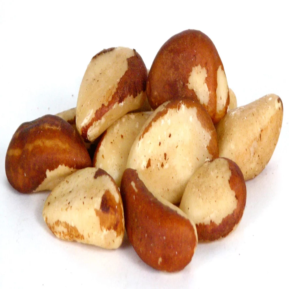 Brazil Nut Supplier - Bulk Brazil Nuts