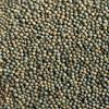 Sabarot French AOP Green Lentils from Le Puy, 17.6 oz (500 g) view 2