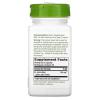 St. John's Wort Promotes a Positive Mood (100 Capsules) view 2