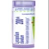 Boiron Lycopodium Clavatum 200C Homeopathic Medicine for Bloating & Gas - 80 Pellets view 1