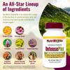 NutriBiotic  DefensePlus, 45 Tablets | 11 in 1 Immune Support with Vitamin C, Zinc, Grapefruit Seed Extract, Echinacea, Astragalus Root & Immune Boosting Extracts & Mushrooms | Vegan & Gluten Free view 2