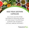 NaturesPlus Egg Yolk Lecithin - 600 mg, 180 Capsules - Soy Free, Gluten Free - 90 Servings view 3
